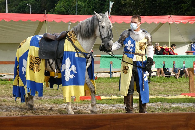 蘭青年隊 蘭青年隊