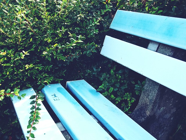 俄罗斯不仅 俄罗斯不仅