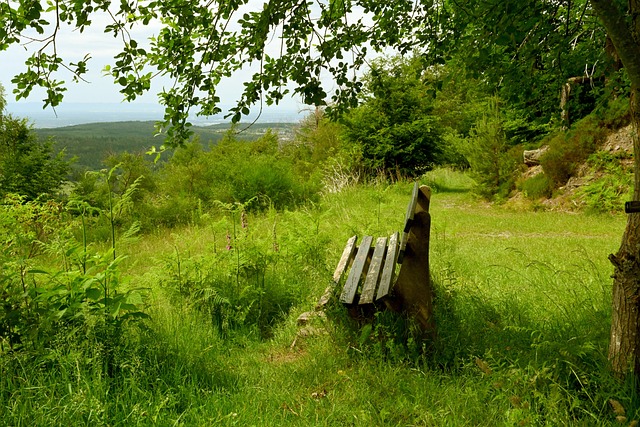 船记在小卡 船记在小卡