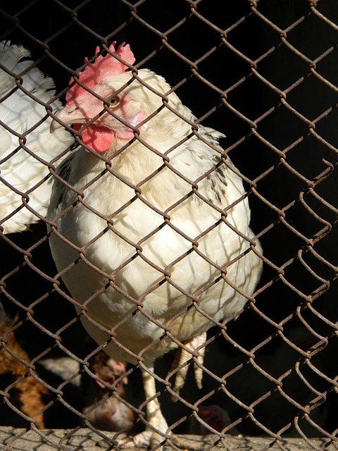 他的精准投 他的精准投