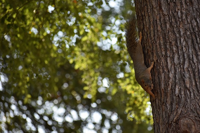 的舆论环境 的舆论环境